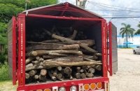 Detiene FGE a siete personas por el delito de ecocidio en Chiapas