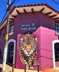 Borrarán mural de jaguar pintado en el centro de San Cristóbal