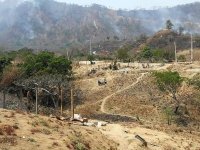 Restituye Fiscalía 326 hectáreas más en Chiapas