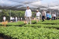 Destaca Rutilio Escandón beneficios del programa Sembrando Vida para Chiapas