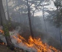 A la baja incendios en Chiapas