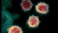 Coronavirus: el misterioso “gen dentro del gen” que descubrieron escondido dentro del patógeno 