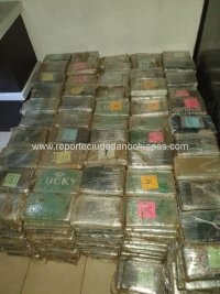 PFM asegura más de 600 kilos de cocaína en un cateo en Chiapas
