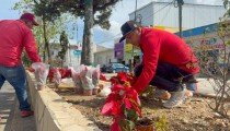 San Cristóbal embellece sus principales accesos con motivo a la llegada de la navidad