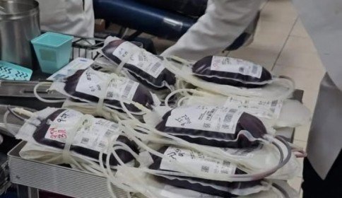 Chiapanecos donan más sangre que el promedio nacional