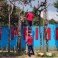 Atienden la Dirección de Ecología de manera inmediata, caída de árbol en escuela del barrio de María Auxiliadora