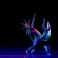 Coneculta realiza el Encuentro Estatal de Danza Contemporánea 2026, en el Teatro de la Ciudad Emilio Rabasa