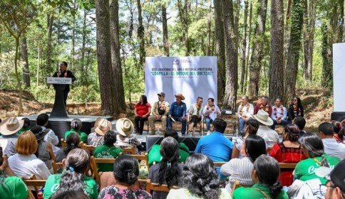 Eduardo Ramírez decreta nueva Área Natural Protegida para resguardar al quetzal y otras especies