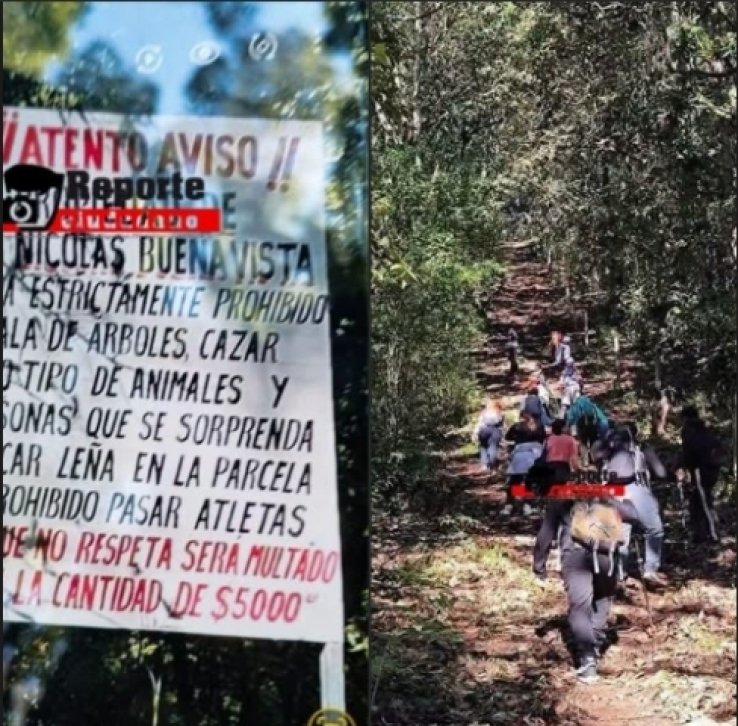 Comunidad de Zinacant&aacute;n restringe acceso al &Aacute;rbol Hueco por considerarlo sitio sagrado