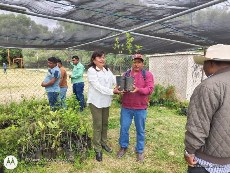 Impulsa Ayuntamiento de San Crist&oacute;bal fortalecimiento productivo con entrega de plantas frutales