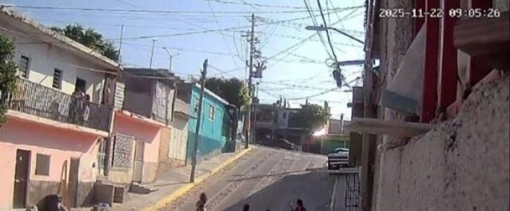 Pide abogada penas reales y severas por casos de maltrato animal