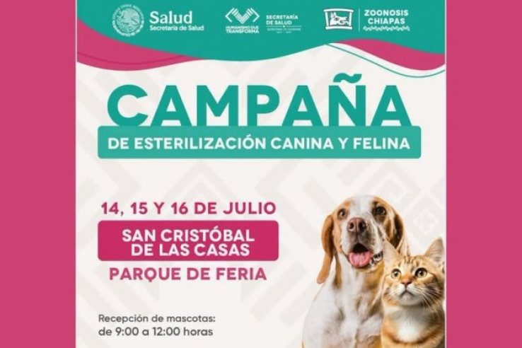 Gobierno de San Crist&oacute;bal y Secretar&iacute;a de Salud impulsan campa&ntilde;a gratuita de esterilizaci&oacute;n canina y felina