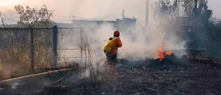 Castigar&aacute;n a irresponsables que no limpien sus predios en Tuxtla