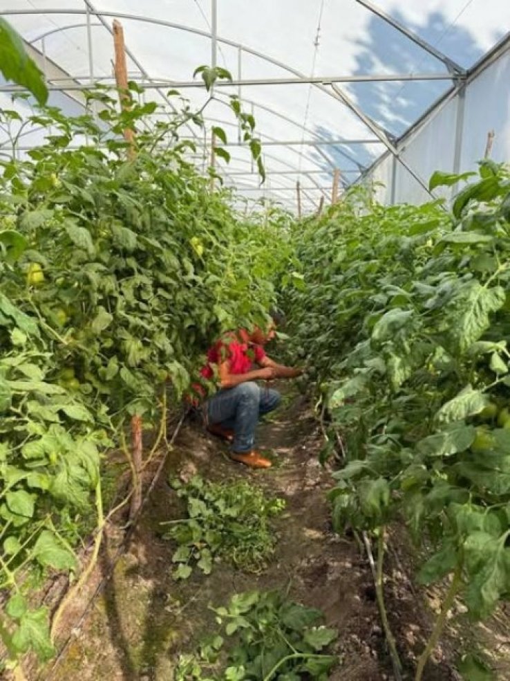 Cecytech impulsa la formaci&oacute;n t&eacute;cnica con pr&aacute;cticas agr&iacute;colas