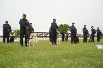 Supervisan la capacitaci&oacute;n de unidades equinas y caninas de la Guardia Estatal