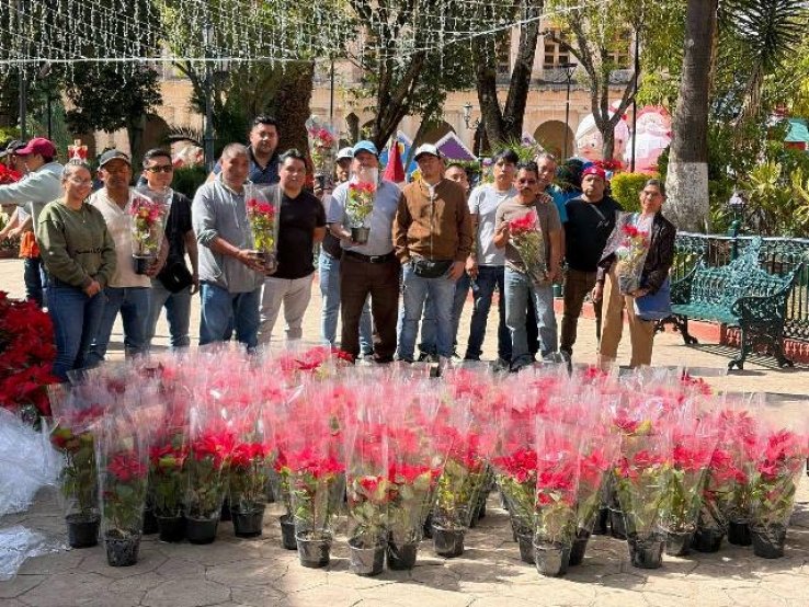 Artesanas y artesanos donan m&aacute;s de 400 nochebuenas para embellecer espacios p&uacute;blicos de San Crist&oacute;bal