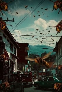 Un saldo de tres personas lesionadas en ataque de enjambre de abejas en Yajal&oacute;n