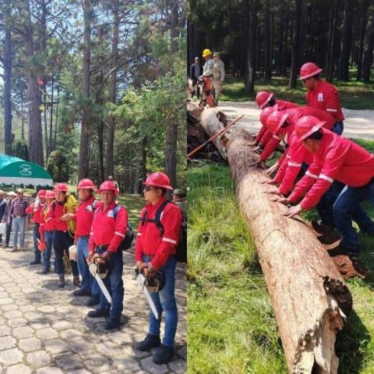 Capacitan brigadas forestales y ambientales en San Crist&oacute;bal para fortalecer atenci&oacute;n a contingencias