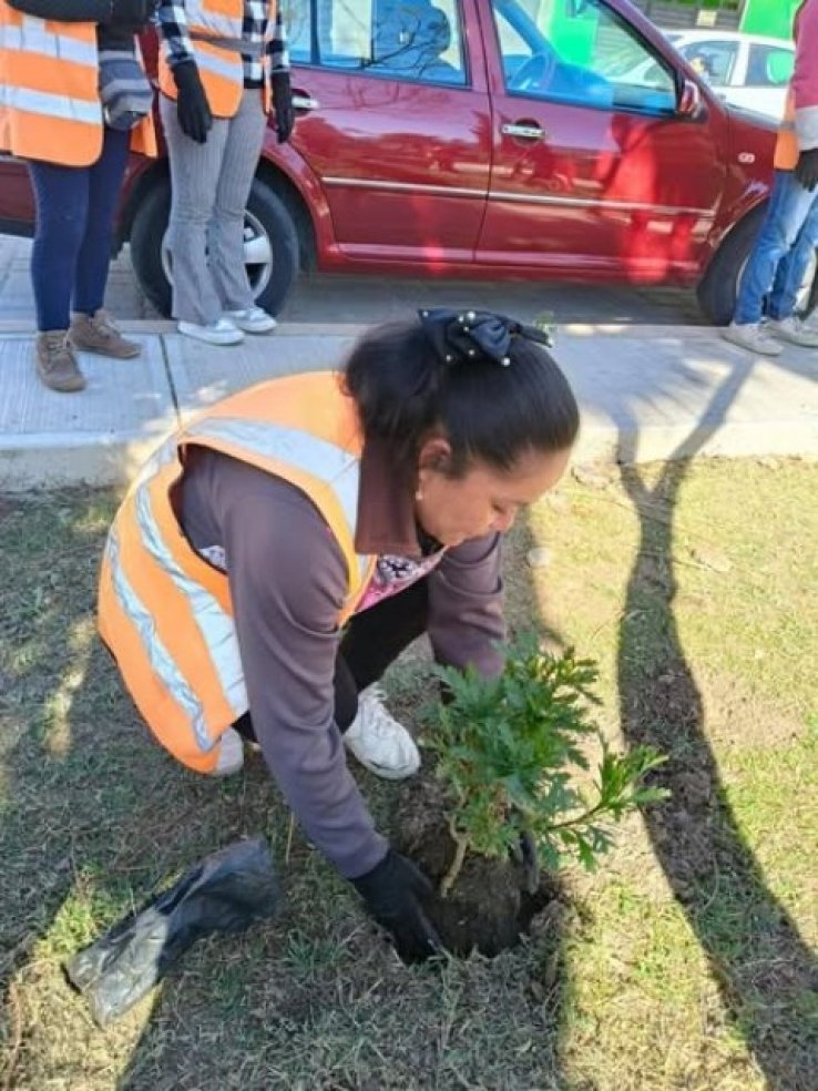 Gobierno Municipal refuerza embellecimiento de parques y jardines en San Crist&oacute;bal
