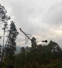 Apag&oacute;n en varios municipios de la regi&oacute;n Norte y Selva de Chiapas
